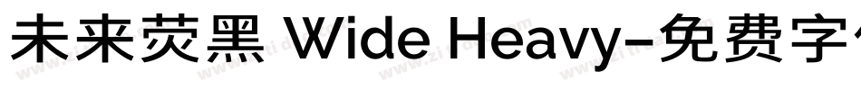 未来荧黑 Wide Heavy字体转换